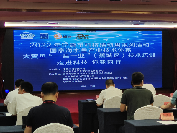 寧德聚力大黃魚“一縣一業(yè)” 技術培訓與研發(fā)雙輪驅動，引領海水養(yǎng)殖新篇章
