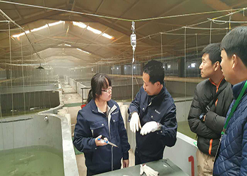 我國海水養(yǎng)殖技術新突破 告別'嗑藥'魚，首個海水魚活疫苗投產(chǎn)應用